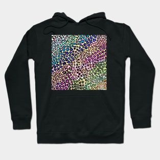 cheetah pattern Hoodie